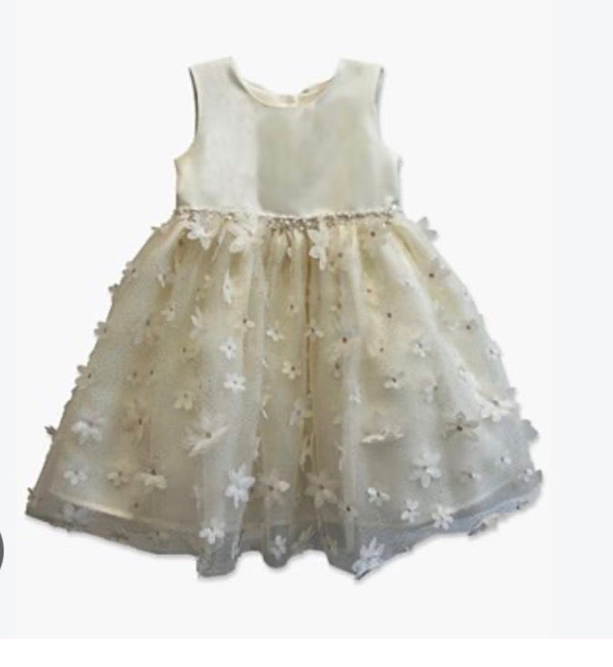 Blueberri baby formal dress