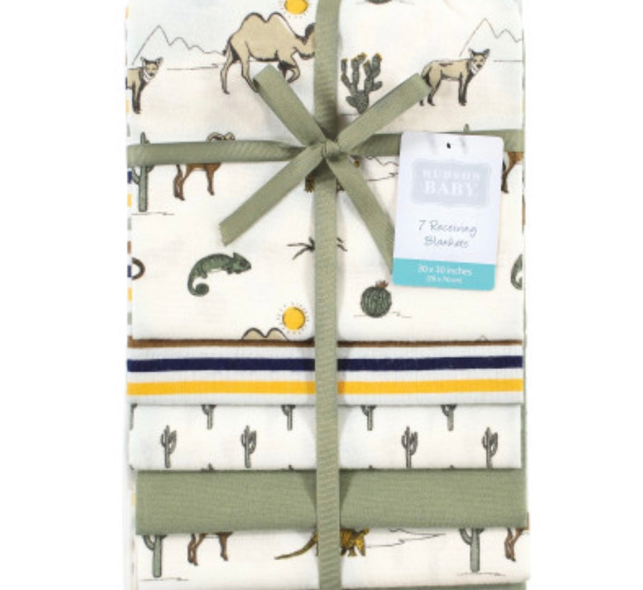 Hudson baby 4pk reciever image 0