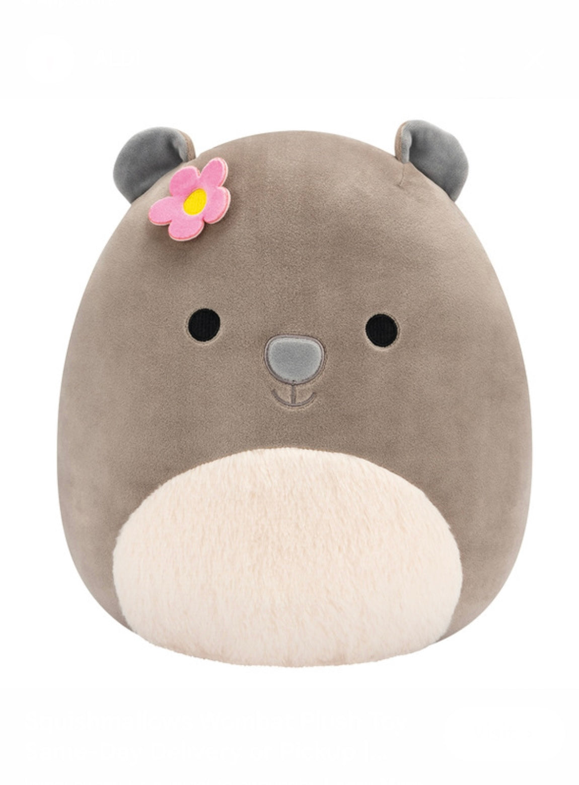 12" Everyday Squishmallow - Wombat image 0