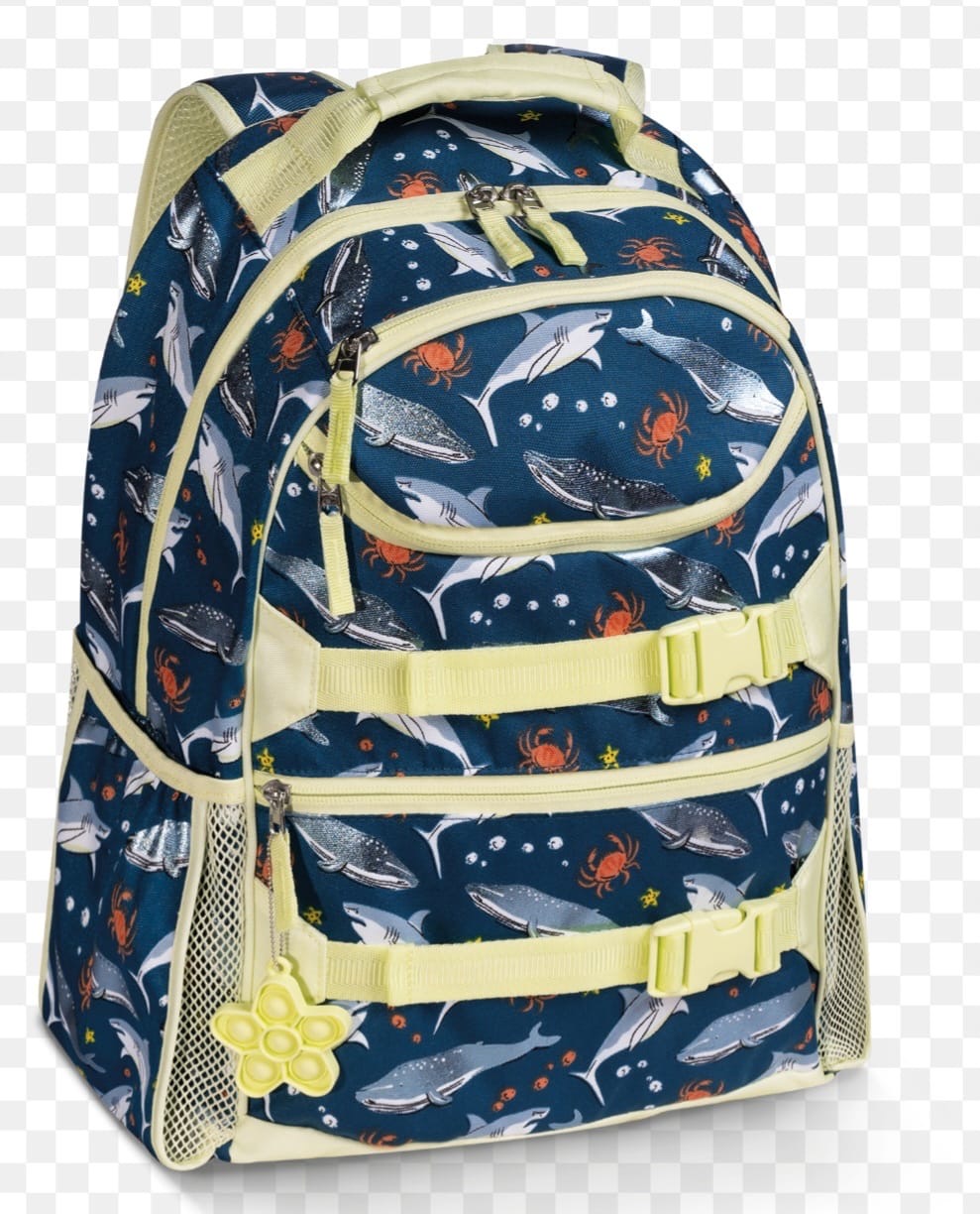 L&D back to school backpack