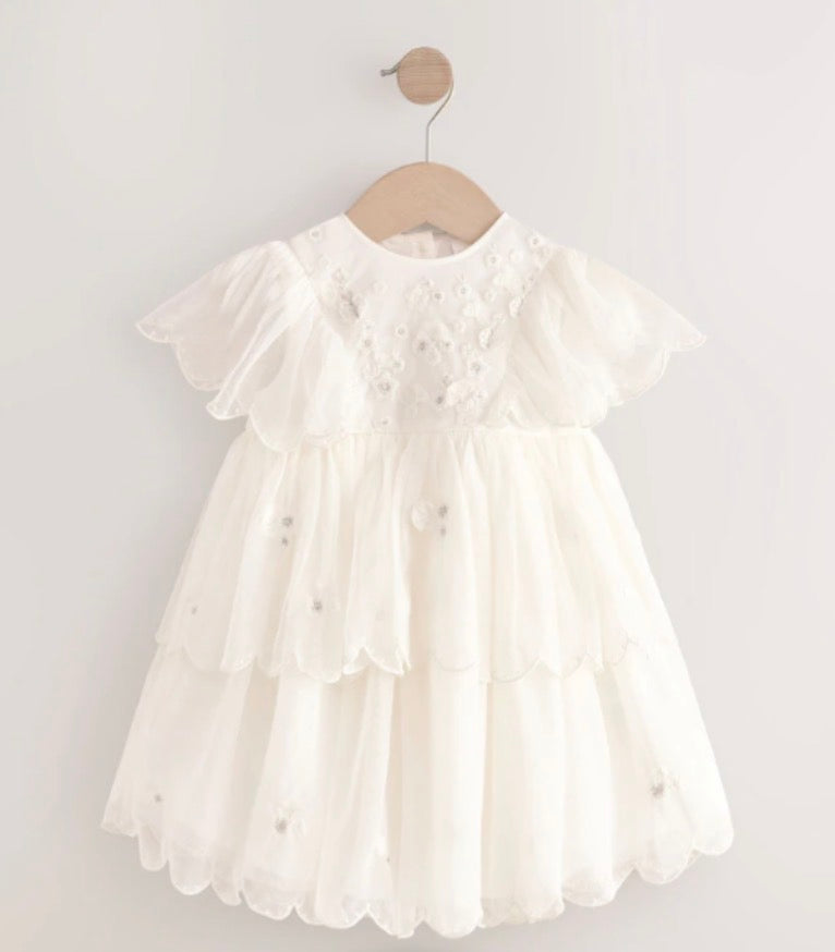 Tahari baby christening dress