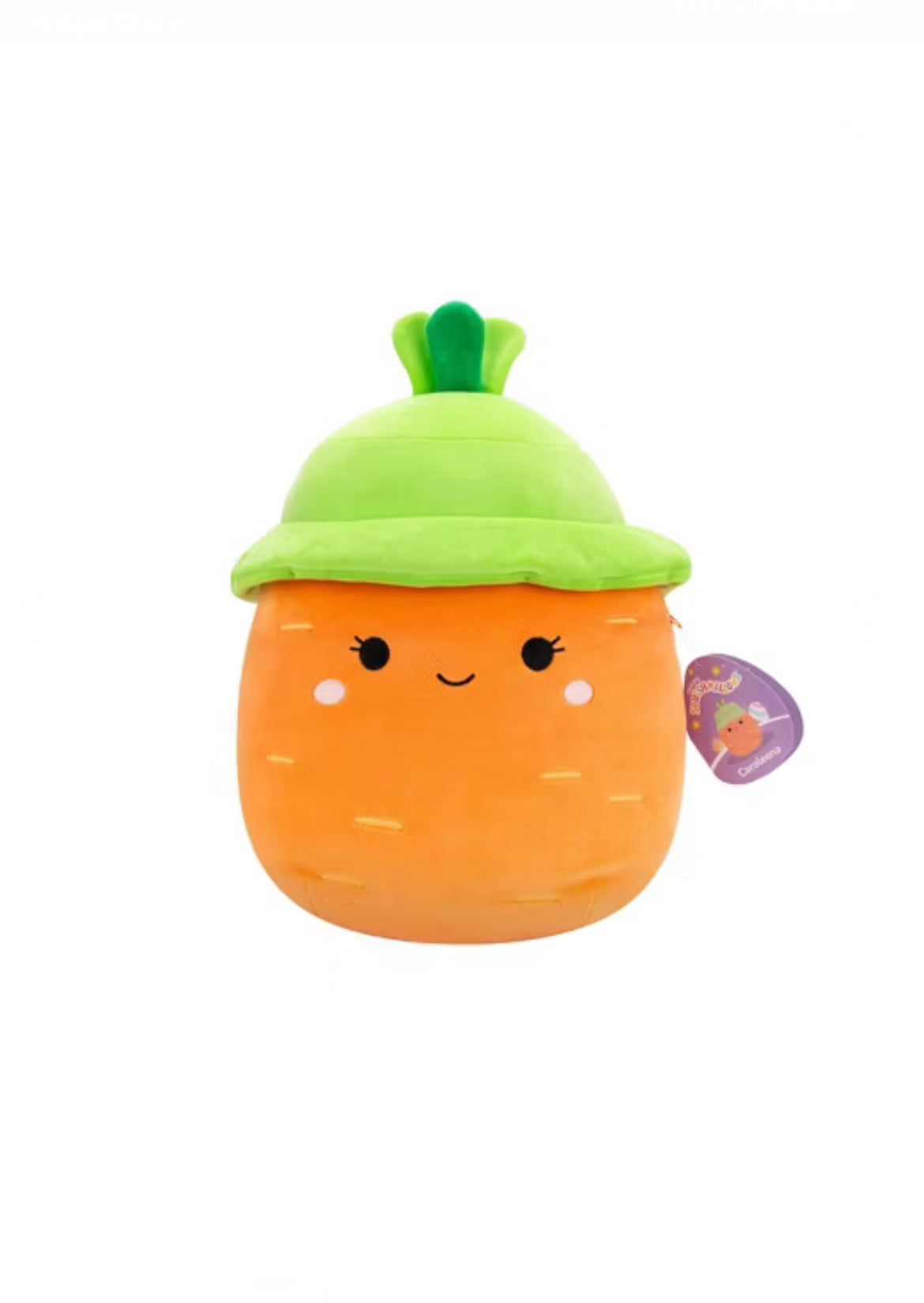 Squishmallows Plushie 12” image 0