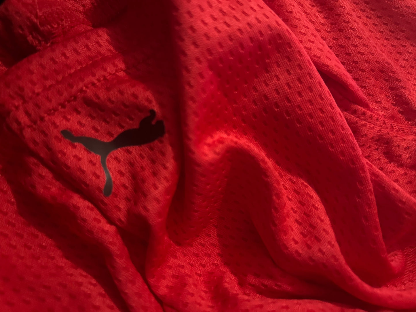 Puma Boys Shorts image 1