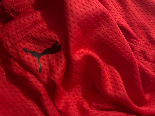 Puma Boys Shorts image 1