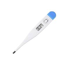 Digital Thermometer image 1