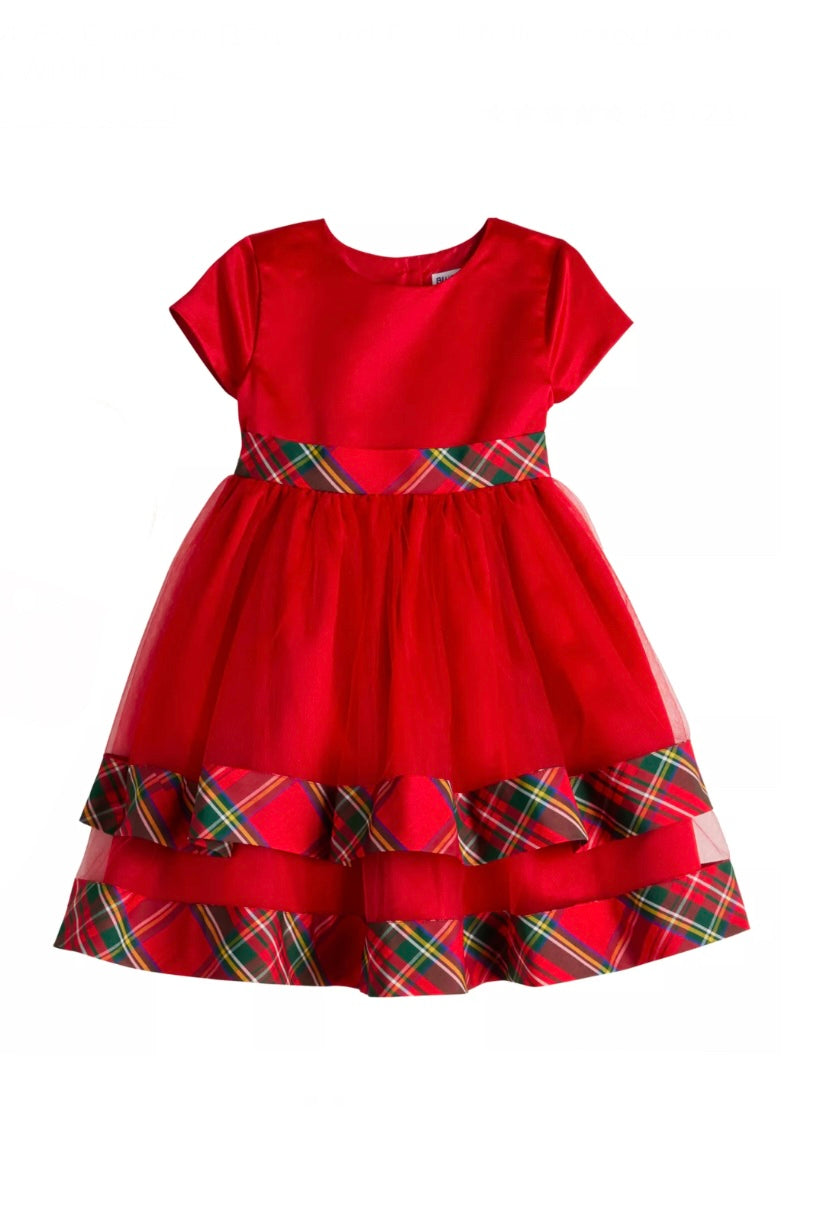 Blueberi Boulevard Plaid Tulle Tiered Hem Dress  image 0