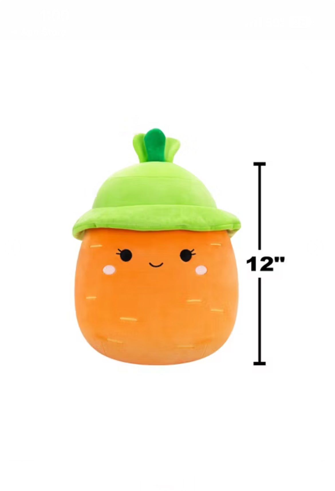 Squishmallows Plushie 12” image 1